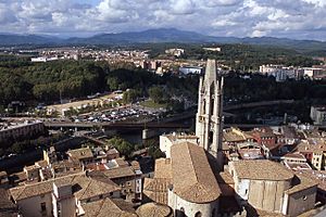 Archivo:Sant Feliu i la Devesa des del campanar de la catedral de Girona