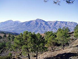 Sierra de Alcaparaín from sierra de Aguas.jpg