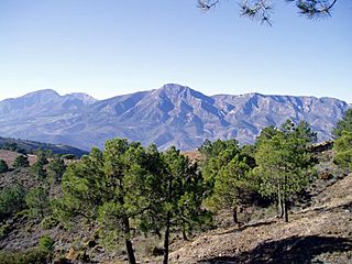 Sierra de Alcaparaín from sierra de Aguas.jpg