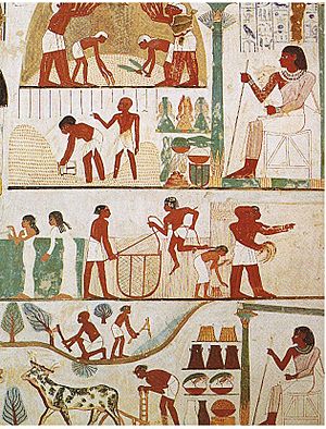 Archivo:Tomb of Nakht (2)