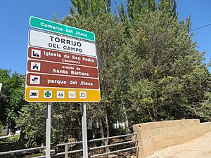 Archivo:Torrijo del Campo