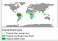 Tropical Forests 2000 by Major Ecological Domains