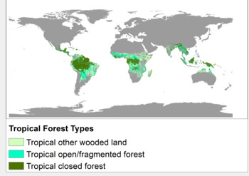 Archivo:Tropical Forests 2000 by Major Ecological Domains