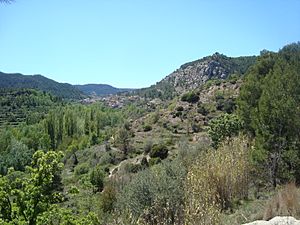 Archivo:Valle de Olba (Teruel)