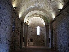 061 Castell de Miravet, nau de l'església