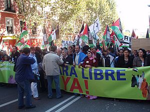 Archivo:2006 Western Sahara protests in Madrid 4