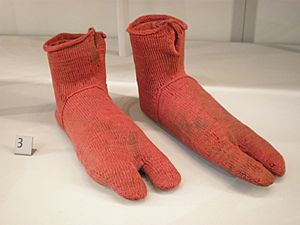 Archivo:BLW Pair of socks