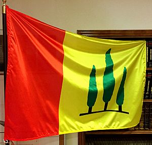 Archivo:Bandera quismondo consistorio