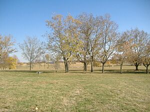 Archivo:Camp Nelson landscape