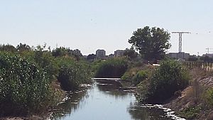 Archivo:Canal de María Cristina. Albacete
