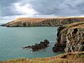 Cardigan Island - geograph.org.uk - 38426
