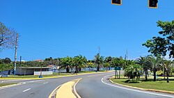 Carretera PR-4491, Camuy, Puerto Rico.jpg