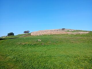 CastroElviñaV.jpg