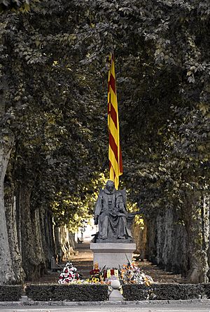 Archivo:Catalonia Olot 11DeSetembre