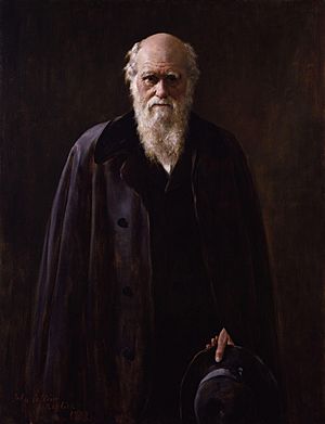 Archivo:Charles Robert Darwin by John Collier