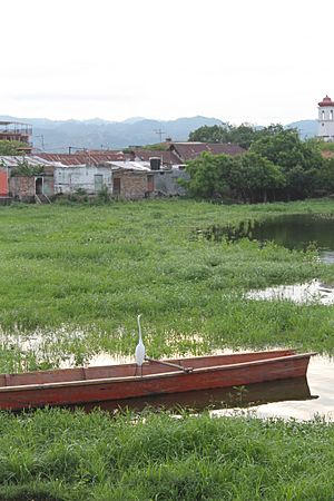 Archivo:Ciénega Simiteña