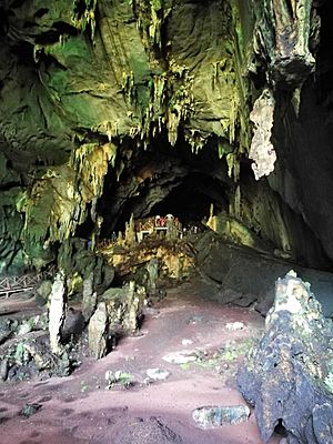 Archivo:Cueva de las Lechuzas, al Parc Nacional de Tingo María06