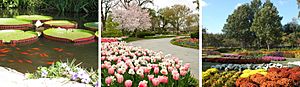 Archivo:Dallas Arboretum Seasons