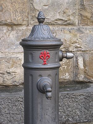 Archivo:Drinking fountain, Florence