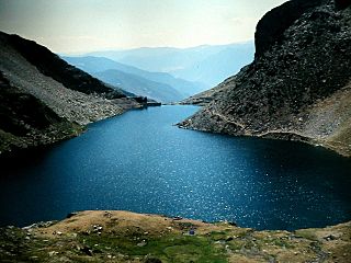 ESTANY DE LA GOLA - IB-0387.jpg