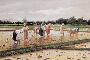 Archivo:Fabian de la Rosa, Women working in a rice field