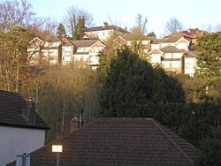 Houses above the A22, Whyteleafe (geograph 2309246).jpg
