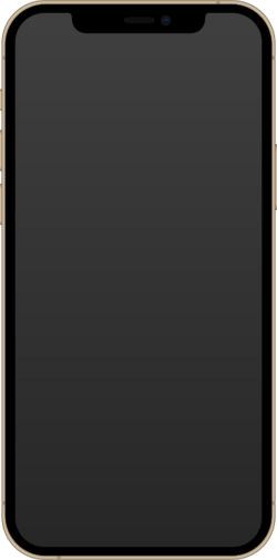 IPhone 12 Pro Gold.svg