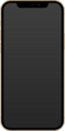 IPhone 12 Pro Gold