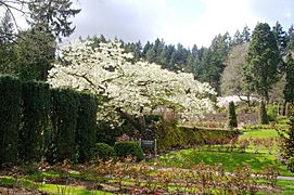 Int. Rose Test Garden, Portland