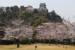 Archivo:Inuyama Castle Keep Tower and Sakura