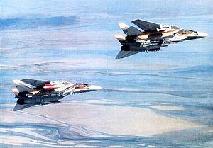 Archivo:Irani F-14 Tomcats carrying AIM-54 Phoenixs