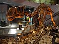 Kritosaurus, Desert Museum
