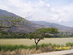 Laguna de urao.jpg