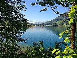 Archivo:Lake Ägeri (Ägerisee) at Morgarten