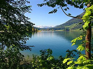 Archivo:Lake Ägeri (Ägerisee) at Morgarten