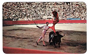 Archivo:Mexico City Bullfighting Postcard