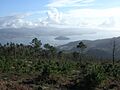 Monte Castrove