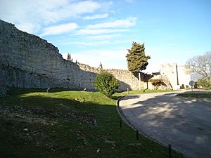 Archivo:Muralla romana d'Olèrdola