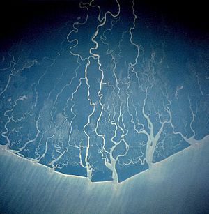 Archivo:Nigerdelta NASA