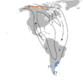 Numenius borealis map