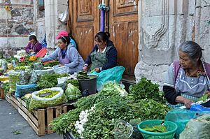 Archivo:Pachuca, sus personas, colores y nopales