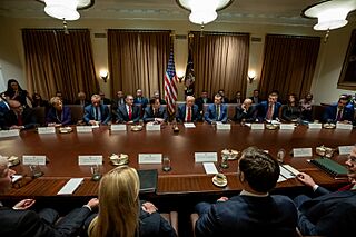 President Donald Trump holds a cabinet meeting (54352151297).jpg