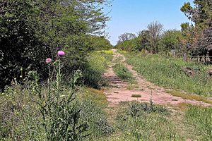 Archivo:Progreso (Santa Fe)-Camino perdido-2016