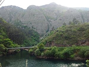 Archivo:Puente Urubio
