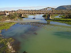 Archivo:Puente ferroviario sobre el río Maule, en Pueblecillo (en las afueras de Talca).