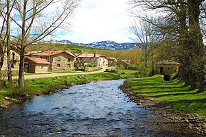 Rio Pisuerga a su paso por San Juán de Redondo.jpg