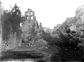 Ruïnes del Monestir de Santa Maria de Lavaix a Pont de Suert.jpeg