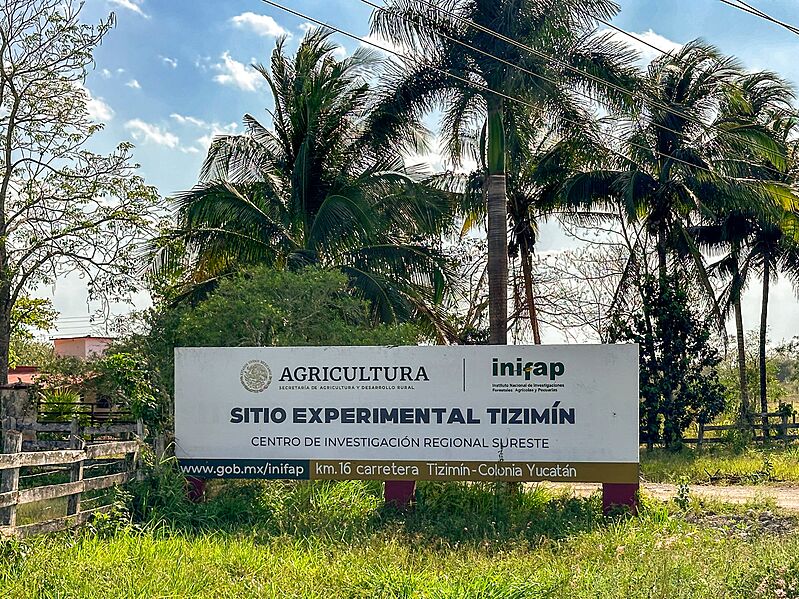 Sitio experimental Tizimín