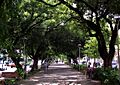 Teresina Av Frei Serafim