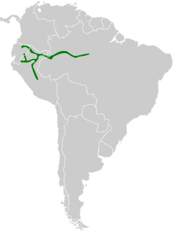 Distribución geográfica del batará de Castelnau.
